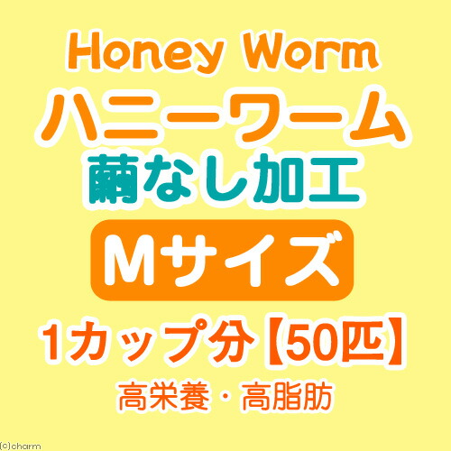 楽天市場 冷蔵 生餌 ハニーワーム 繭なし加工 ｍサイズ １カップ分 ５０匹 別途クール手数料 常温商品同梱不可 Charm 楽天市場店