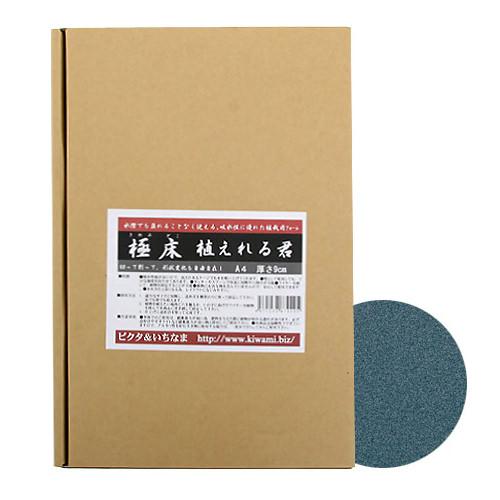 楽天市場】ピクタ 極床 植えれる君 A4 3cm 爬虫類 テラリウム