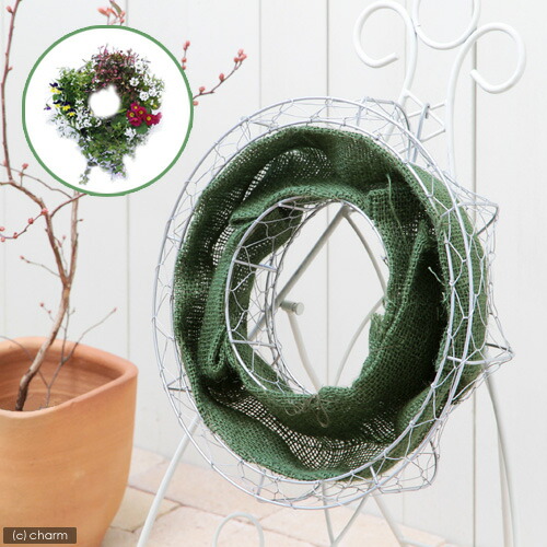 楽天市場 メッシュプランター ラウンド 麻布付き ｆｍｐ０１ ３５ｇ 関東当日便 Charm 楽天市場店