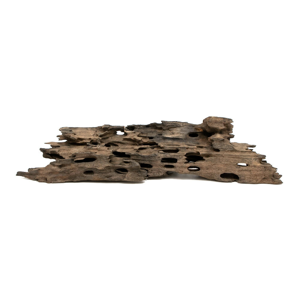 楽天市場】形状お任せ 煮込み済み ハニカムウッド Sサイズ（15