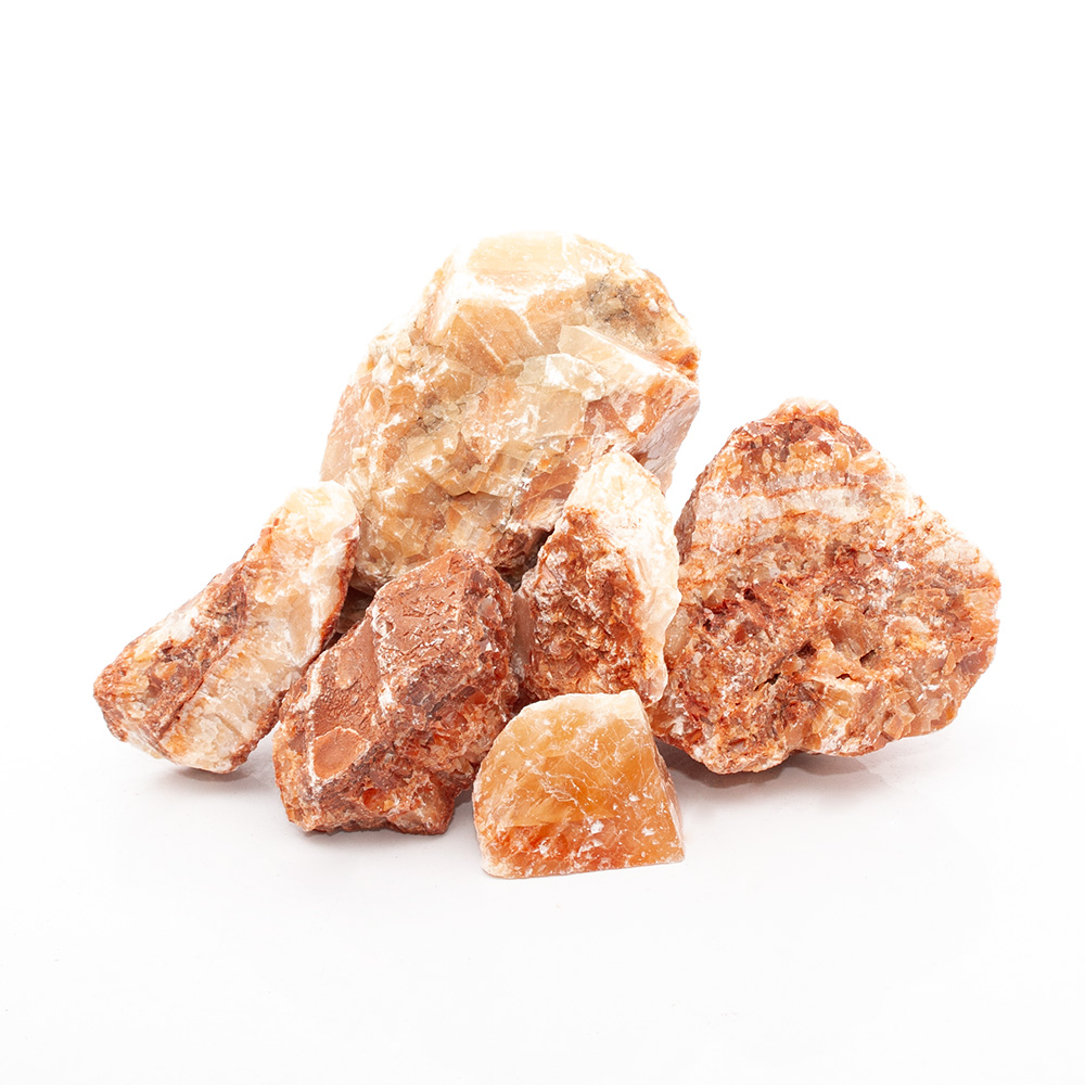 楽天市場】形状お任せ 化石サンゴ スモールサイズミックス（約2