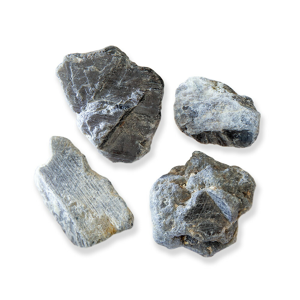 楽天市場】形状お任せ モロッコ産 直角石（オウムガイ） 1個 デボン紀