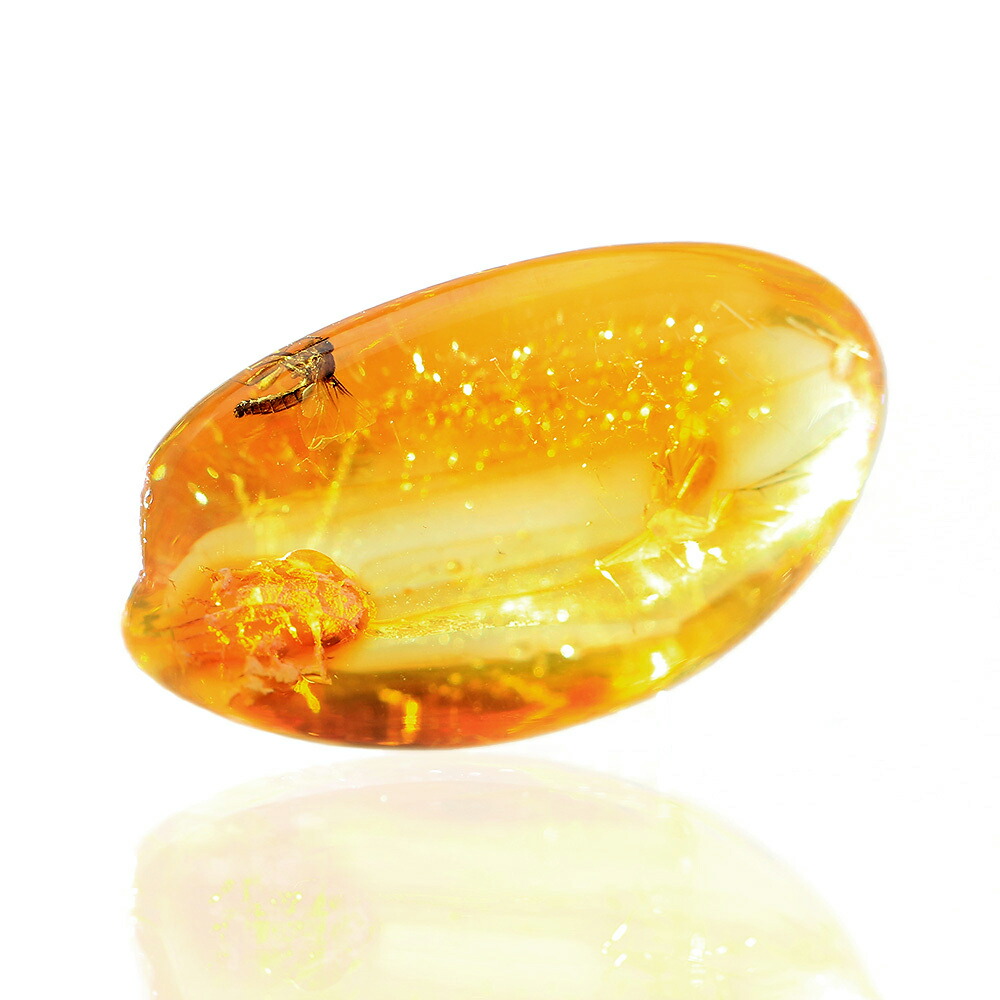 超希少 美品✨ ロエベ アンモナイト アナグラム ダイス チャーム 金具 虹色 71YaaaRAw+L._SY350_QL65_.jpg