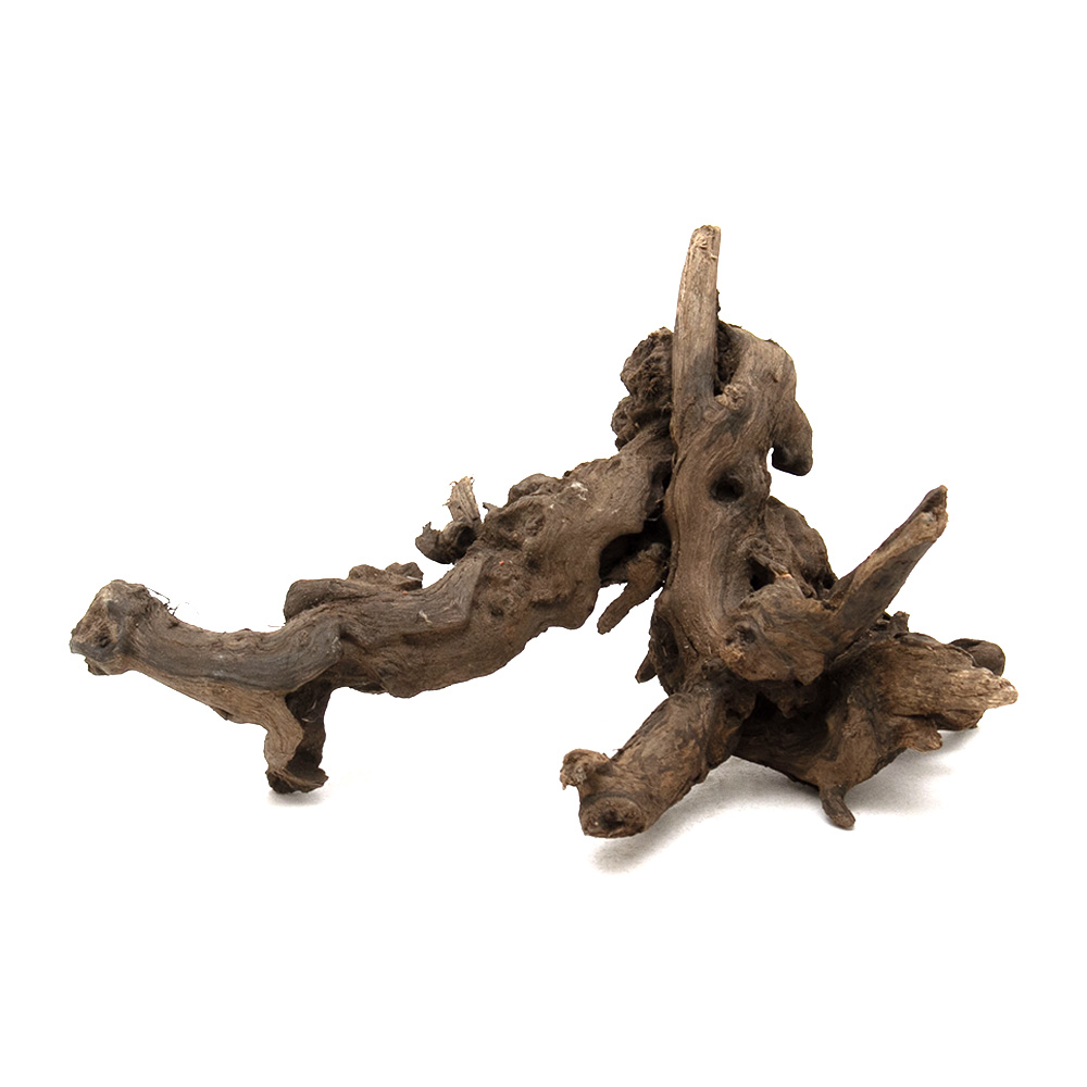 楽天市場】形状お任せ 煮込み済み ハニカムウッド Sサイズ（15