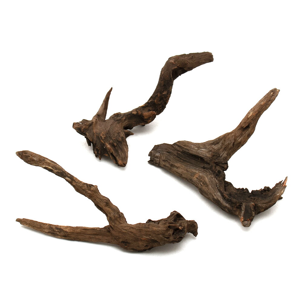 楽天市場】形状お任せ 煮込み済み ディアーホーンウッド Sサイズ（約