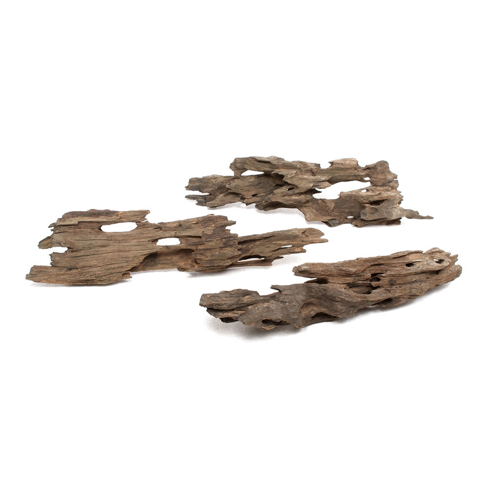 楽天市場】形状お任せ 煮込み済み ハニカムウッド Lサイズ（25