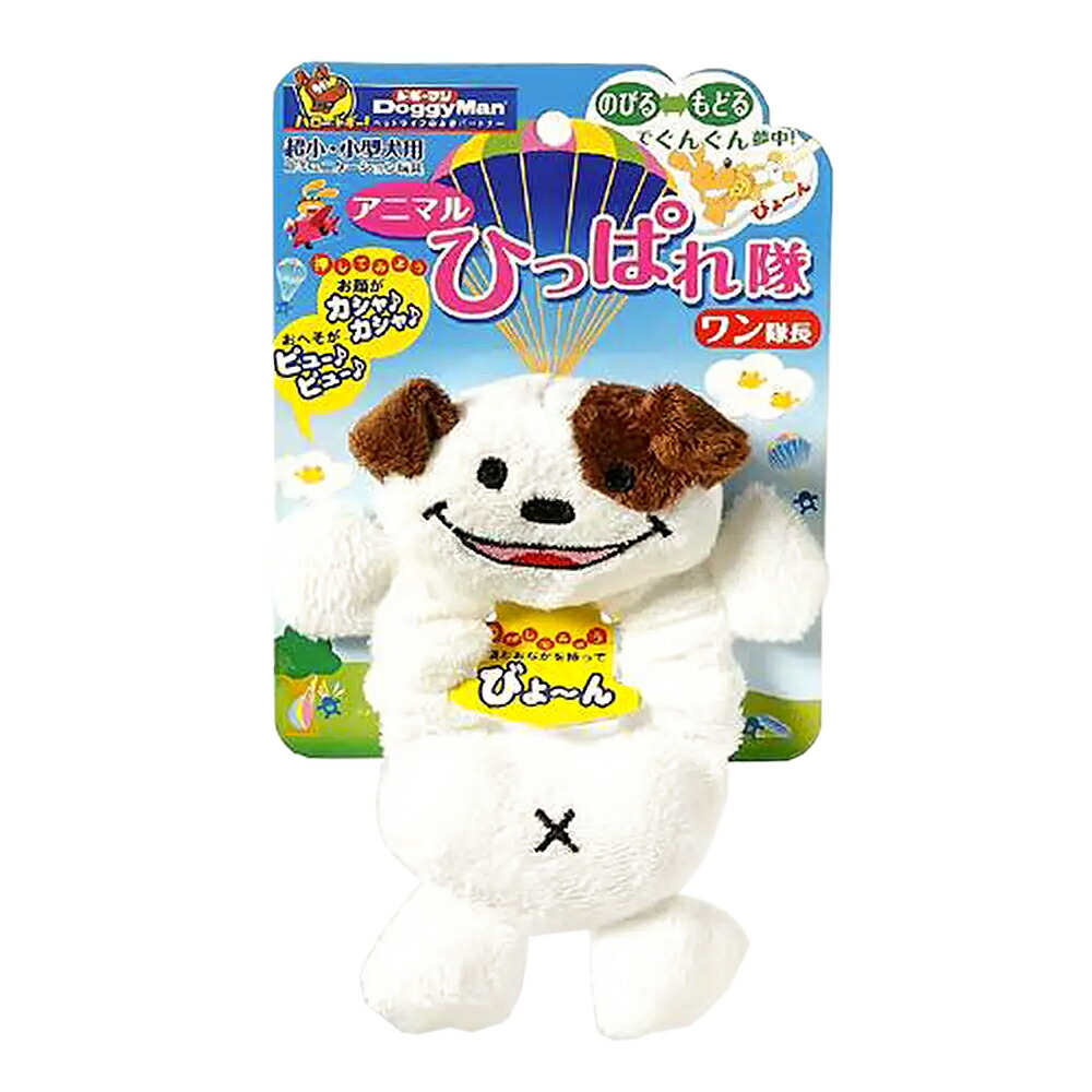 楽天市場】【12／1限定】当選確率2分の1！1等最大100