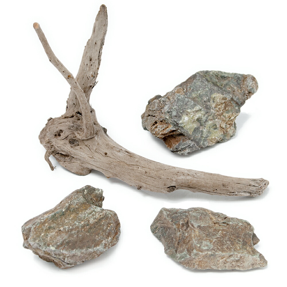 楽天市場 形状おまかせ 風山石 ｓサイズ３個 ルーツウッド ｓサイズ １本セット 関東当日便 Charm 楽天市場店