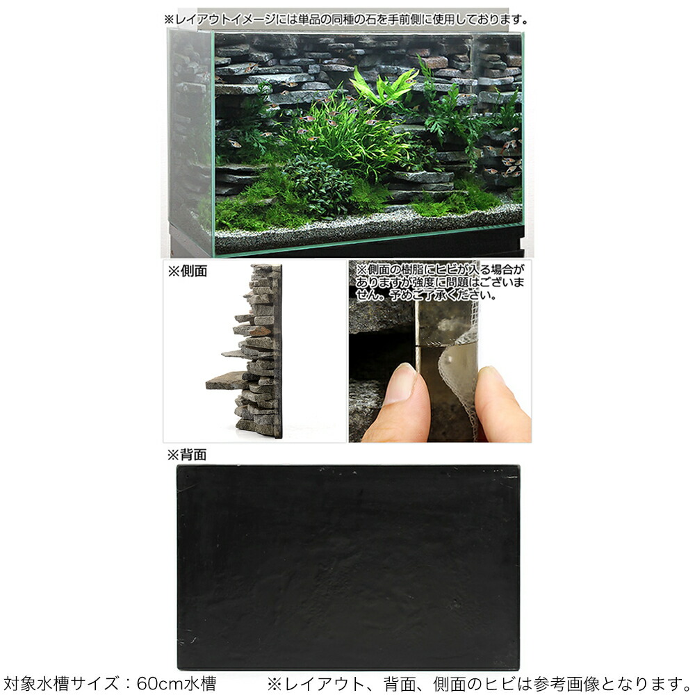一点物 ウォールロック シャープ ６０ｃｍ水槽用 ８５００６４ 沖縄別途送料 関東当日便 Charm 店