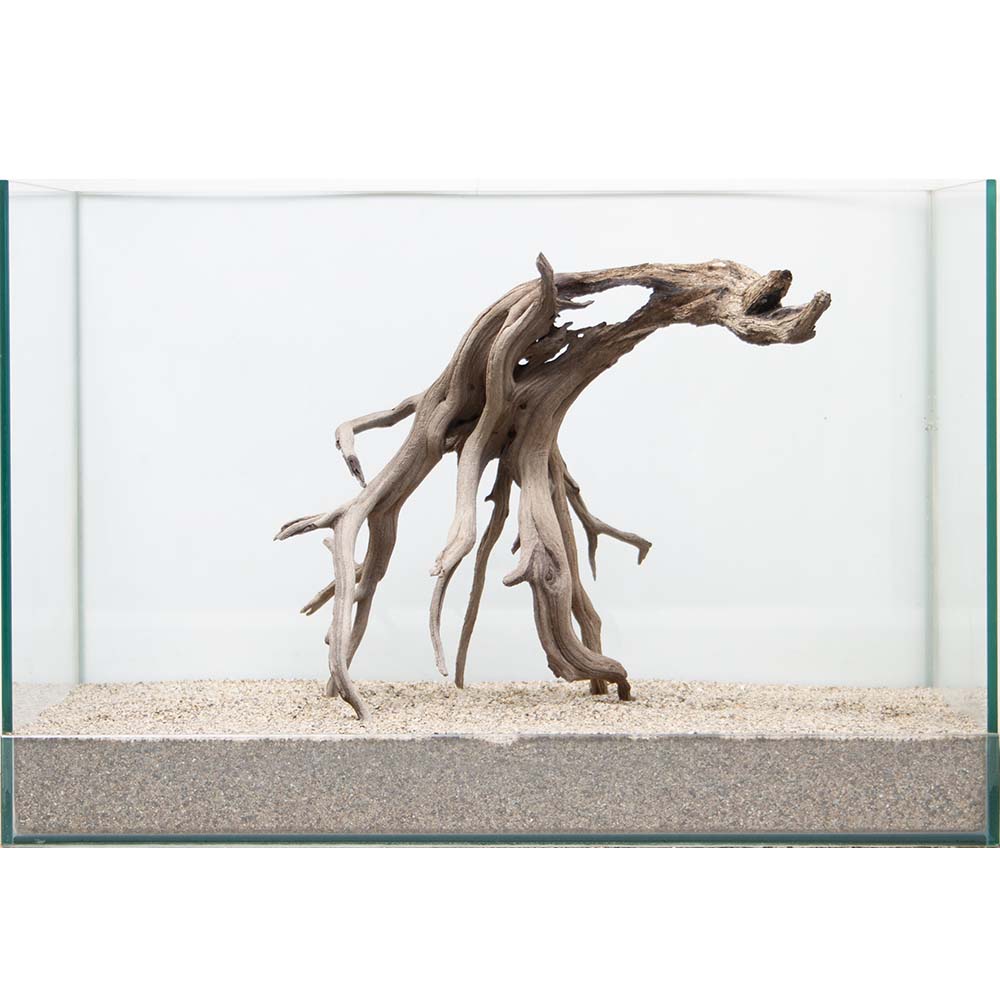 一点物 上質流木 禅 黒影 くろかげ 水槽用 沖縄別途送料 関東当日便 Fitzfishponds Com