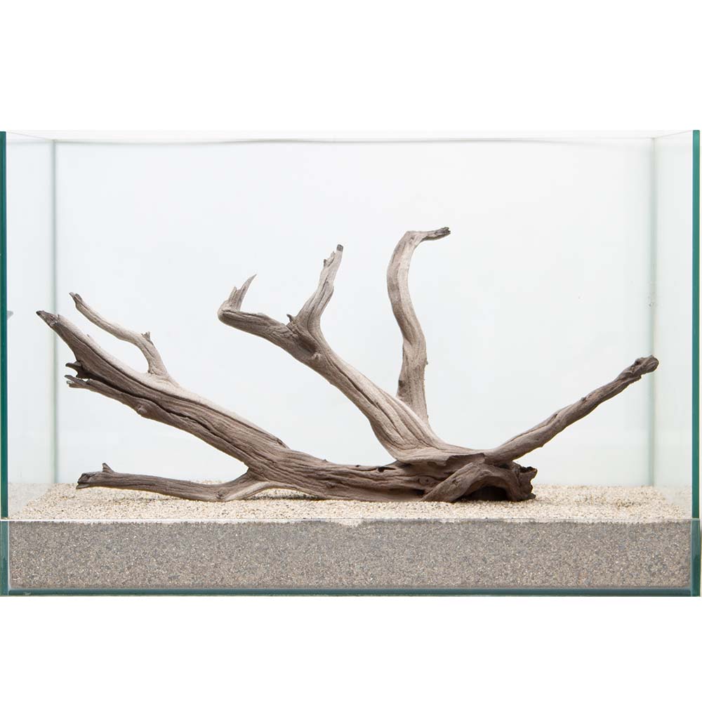 一点物 上質流木 禅 黒影 くろかげ 水槽用 沖縄別途送料 関東当日便 Fitzfishponds Com