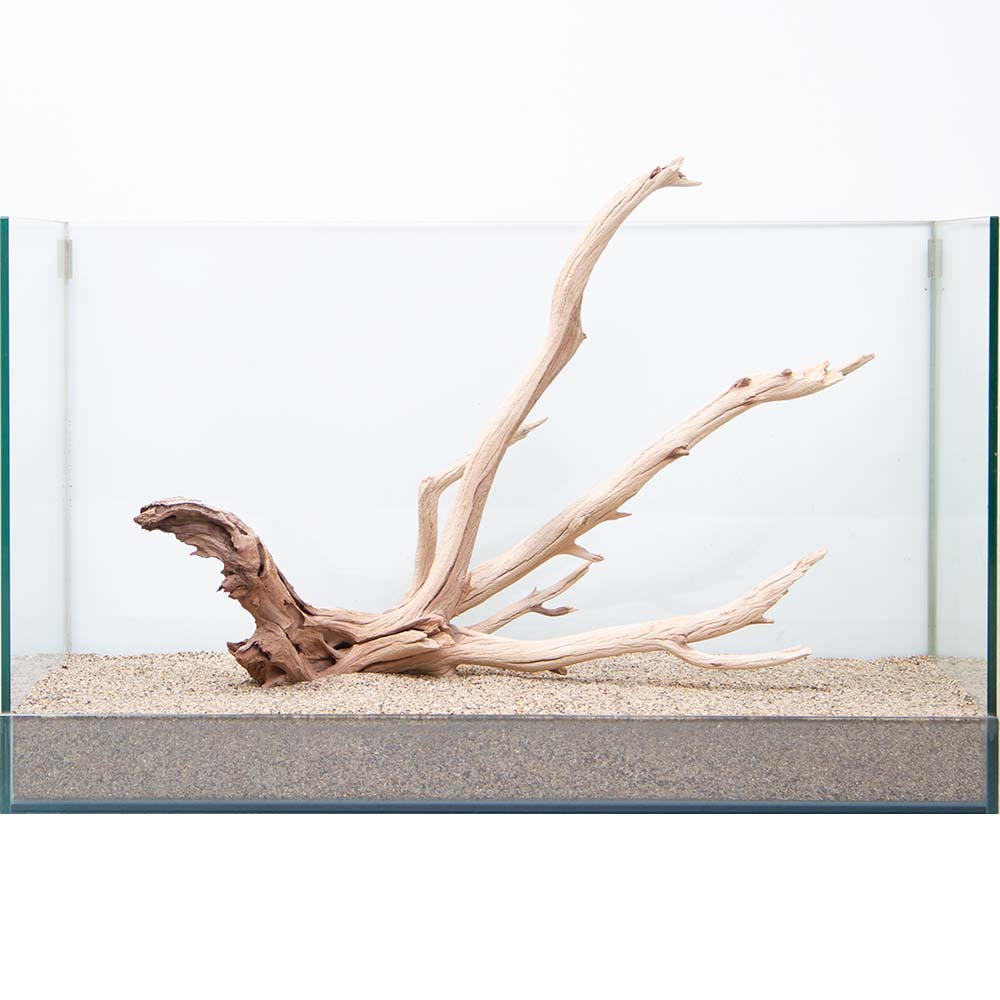 一点物 上質流木 禅 白陰 しろかげ 水槽用 沖縄別途送料 Hls Du 関東当日便 Fitzfishponds Com