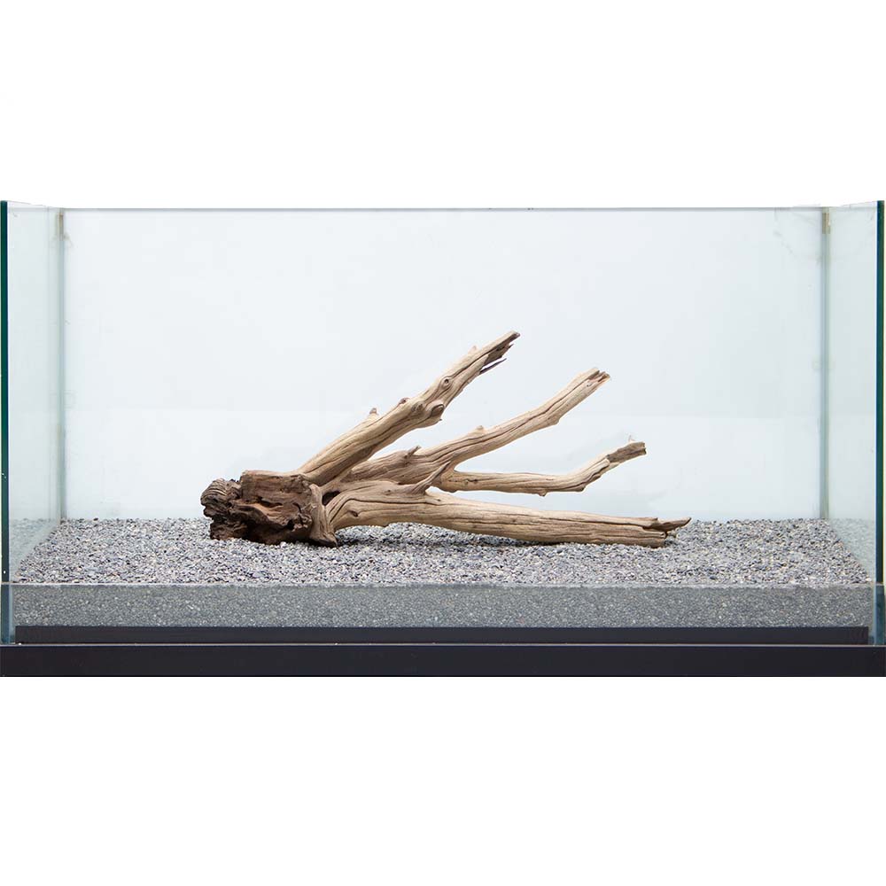 もの主点事物 高上流木 禅 ごまの蠅印 くろかげ 甕働き 沖縄別途送料 関東当日手紙 M Haitiopen Com