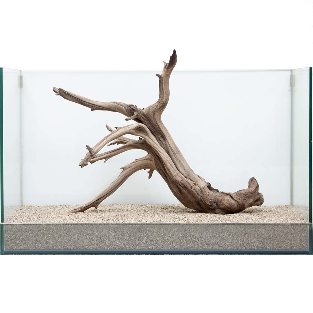 一点物 上質流木 禅 黒影 くろかげ 水槽用 沖縄別途送料 Hls Du 関東当日便 Fitzfishponds Com