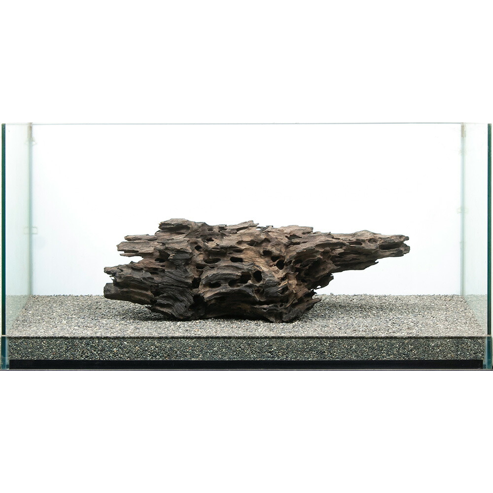 一点物　大型水槽用　ハニカムウッド　８５９２０４　関東当日便｜charm 店