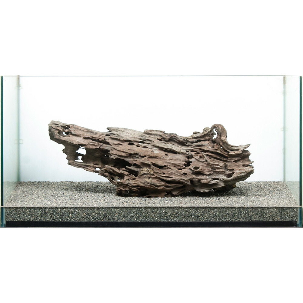 ウォーターガーデニングをはじめませんか？ ペット・ペットグッズ-流木・砂利・レイアウト用品