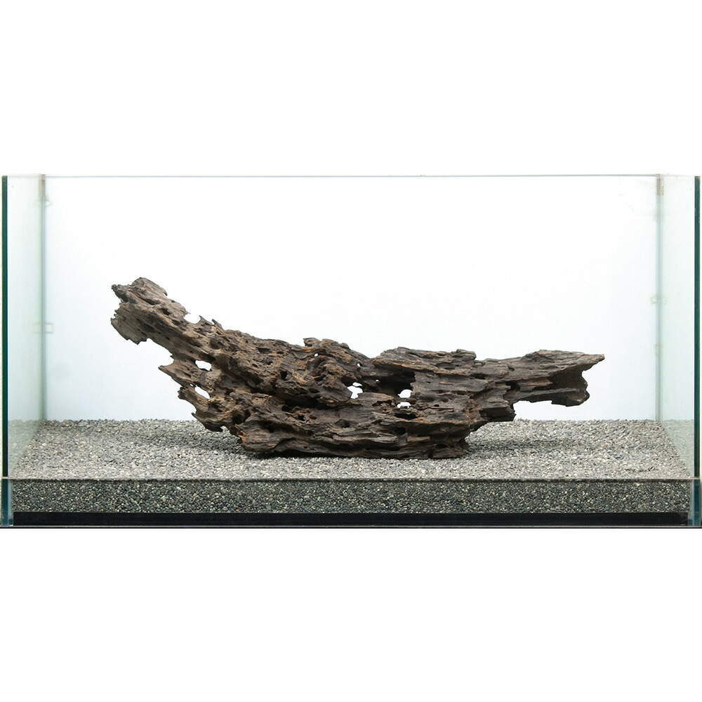 一点物 大型水槽用 ハニカムウッド 859211 関東当日便|charm 店