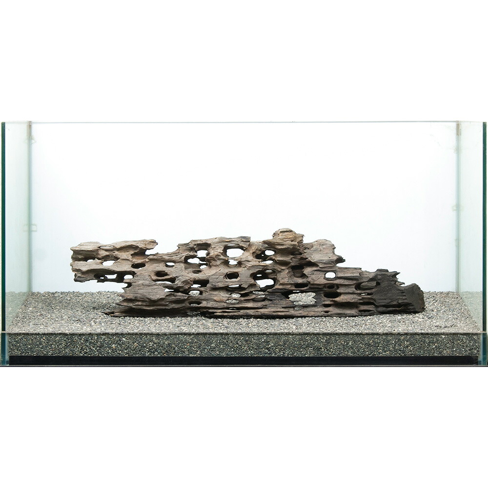 一点物 大型水槽用 ハニカムウッド 859212 関東当日便|charm 店
