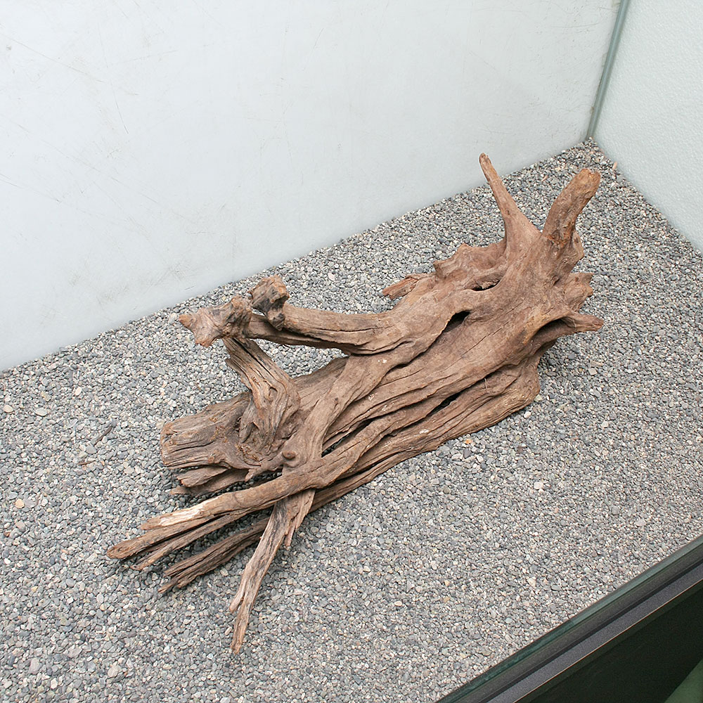 一点物 熱帯魚 アクアリウム 上質流木 雅 大型水槽用 861561 沖縄別途送料 流木 砂利 レイアウト用品 関東当日便 Charm 猫砂 店 一点物 熱帯魚 アクアリウム 上質流木 雅 大型水槽用 861561 沖縄別途送料 流木 砂利 レイアウト用品 関東当日便 Charm 猫砂 店