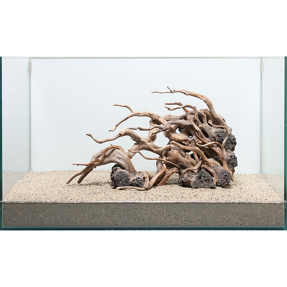 一点物 ハードスケープウッド 流木 60cm水槽用 862444 沖縄別途送料 関東当日便 Charm 店 一点物 ハードスケープウッド 流木 60cm水槽用 862444 沖縄別途送料 関東当日便 Charm 店