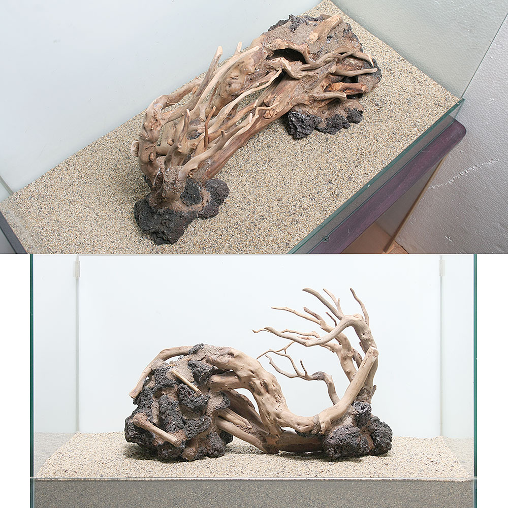 熱帯魚 アクアリウム 水槽 アクアリウム内装 一点物 ハードスケープウッド ６０ｃｍ水槽用 ８６２５０１ 沖縄別途送料 関東当日便