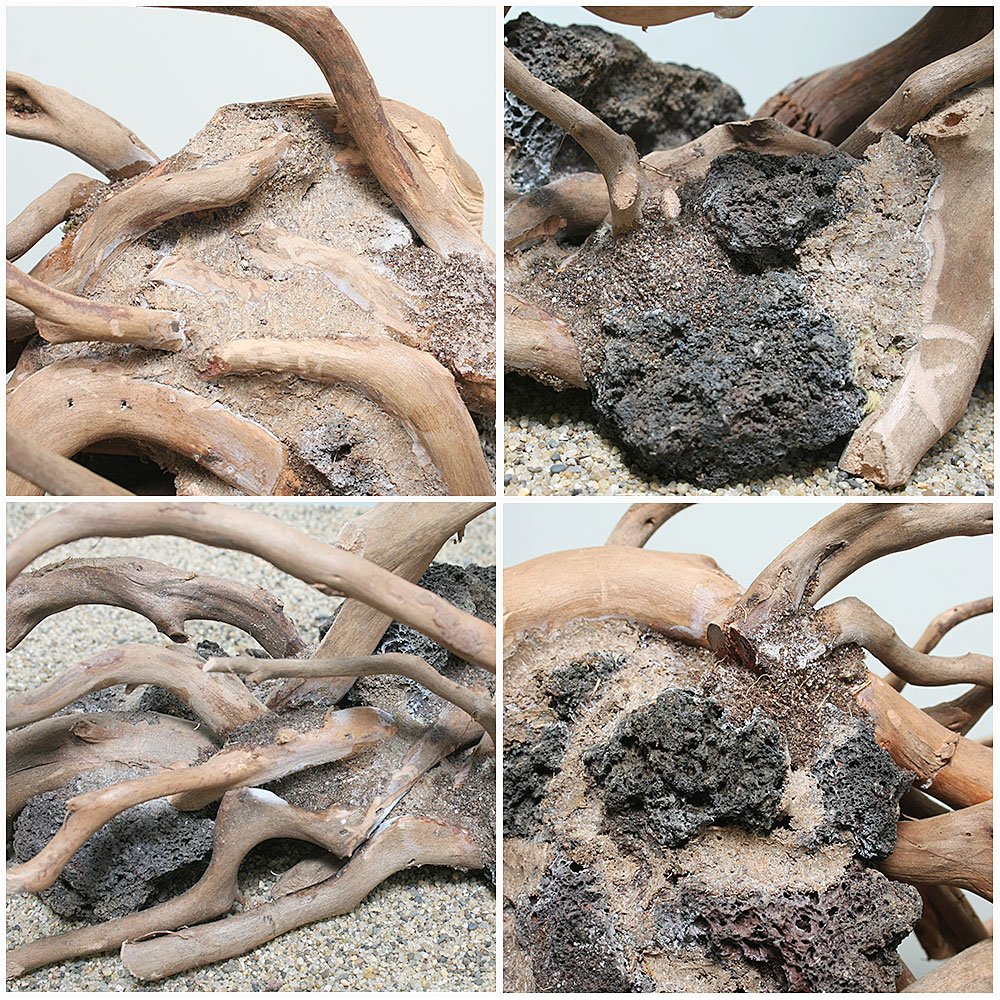 熱帯魚 アクアリウム 水槽 アクアリウム内装 一点物 ハードスケープウッド ６０ｃｍ水槽用 ８６２５０１ 沖縄別途送料 関東当日便