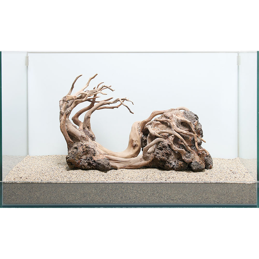 ハードスケープウッド 一点物 ８６２５０６ 流木 関東当日便 Charm ６０ｃｍ水槽用 店 沖縄別途送料