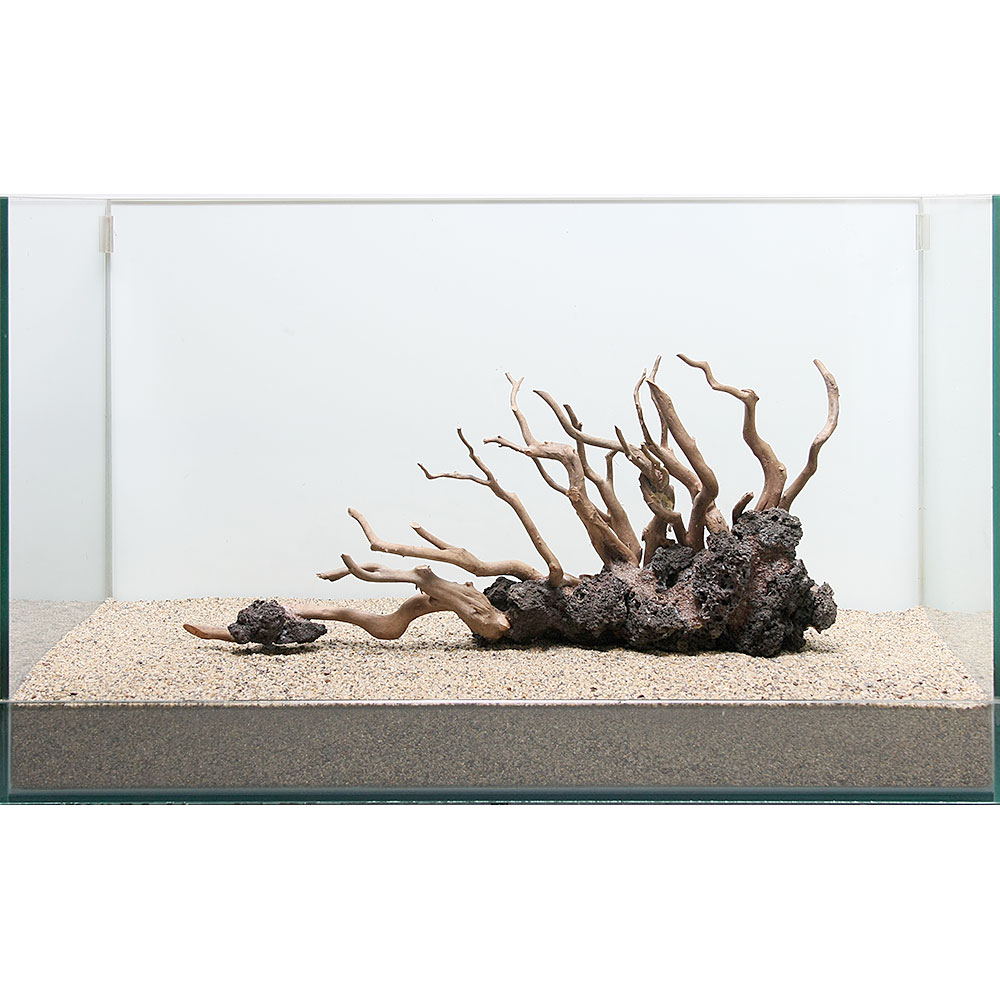 観葉植物 一点物 ハードスケープウッド 60cm水槽用 862523 沖縄別途送料 関東当日便ペット ペットグッズ一点物 ハードスケープウッド 60cm水槽用 862523 沖縄別途送料 関東当日便 観葉植物 一点物 ハードスケープウッド 60cm水槽用 862523 沖縄別途送料 関東当日便ペット ペットグッズ一点物 ハードスケープウッド 60cm水槽用 862523 沖縄別途送料 関東当日便