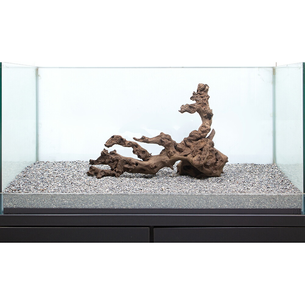 一点物 サンゴウッド 大型水槽用 沖縄別途送料 関東当日便 Grantandpower Com