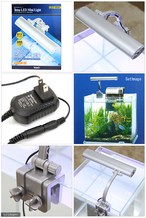 楽天市場 アウトレット品 テトラ ｌｅｄミニライト ｌｅｄ ｍｉｎｉ 小型水槽用照明 熱帯魚 水草 アクアリウムライト 訳あり 関東当日便 Charm 楽天市場店