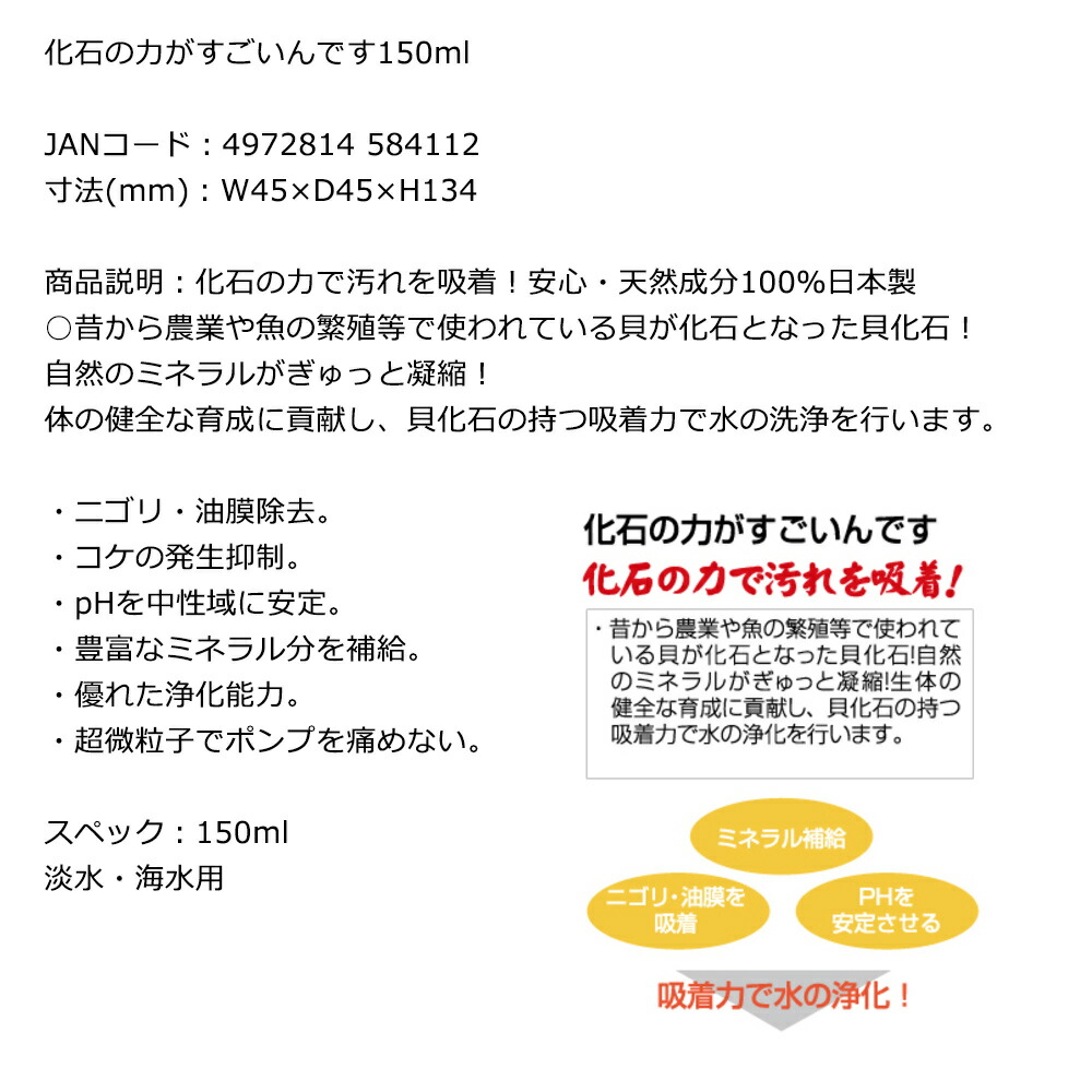 楽天市場 コトブキ工芸 Kotobuki 化石の力がすごいんです １５０ｍｌ 関東当日便 Charm 楽天市場店