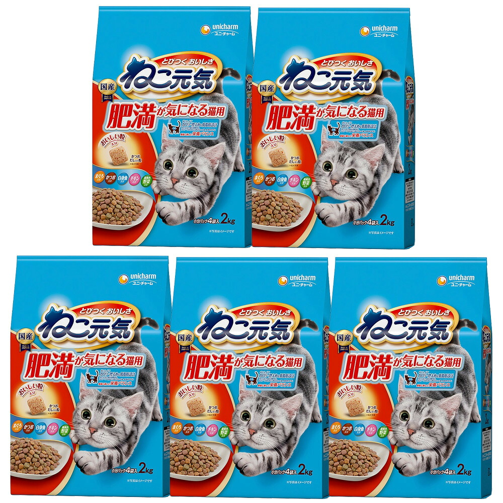 キャットフード　ねこ元気　肥満が気になる猫用　２．０ｋｇ（５００ｇ×４袋）　５袋入り　関東当日便