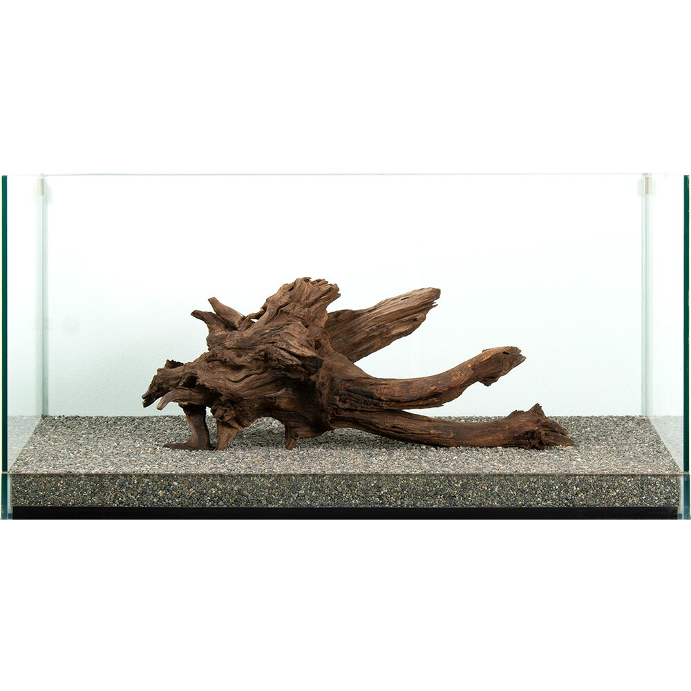 一点物　ドリフトウッド　大型水槽用　８８１０７４　関東当日便｜charm 店