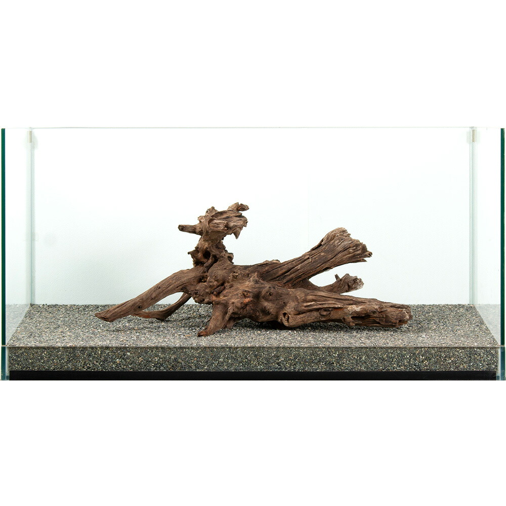 ウォーターガーデニングをはじめませんか？ 流木・砂利・レイアウト用品-熱帯魚・アクアリウム-水槽・アクアリウム内装
