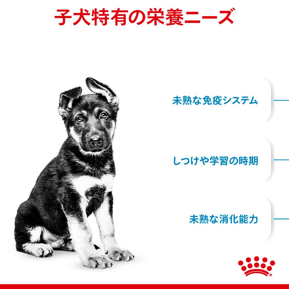 最安値に挑戦 ロイヤルカナン マキシ パピー 子犬用 １５ｋｇ 沖縄別途送料 お一人様１点限り ジップ無し 関東当日便 50 Off Ihmc21 Com