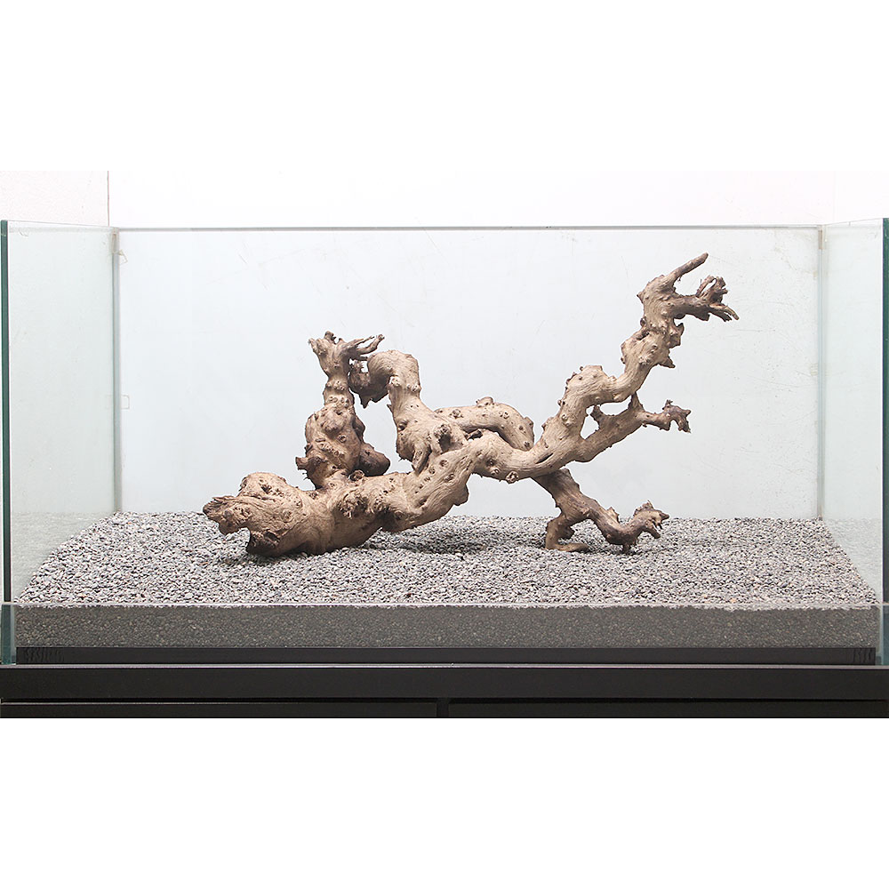 大型水槽用 店 流木 グリニーズ ８９３１９３ 沖縄別途送料 キャットフード 一点物 関東当日便 Charm サンゴウッド