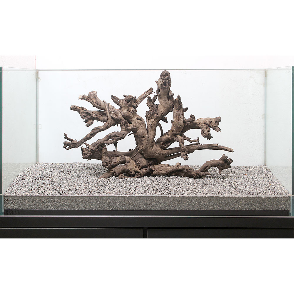 流木一点物 サンゴウッド 大型水槽用 ８９３８７６ 沖縄別途送料 関東当日便 Charm 店