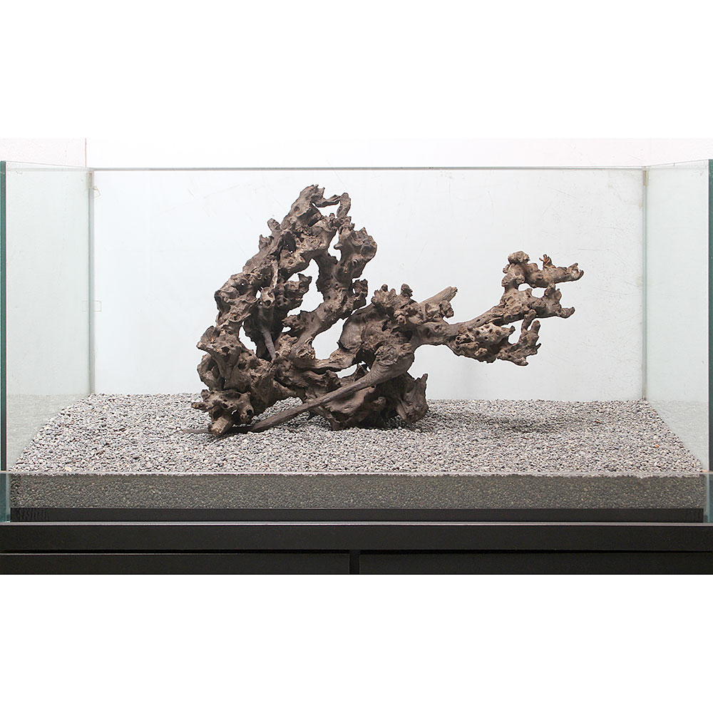 店 一点物 サンゴウッド 大型水槽用 ８９３８７７ 沖縄別途送料 関東当日便 Charm