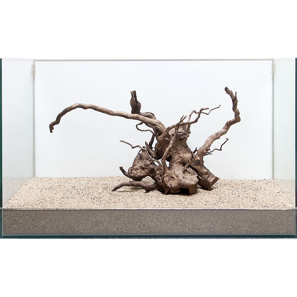 微塵物質 ルーツ白木 単体 桶使い方 関東当日利便 Kaspia Receptions Com