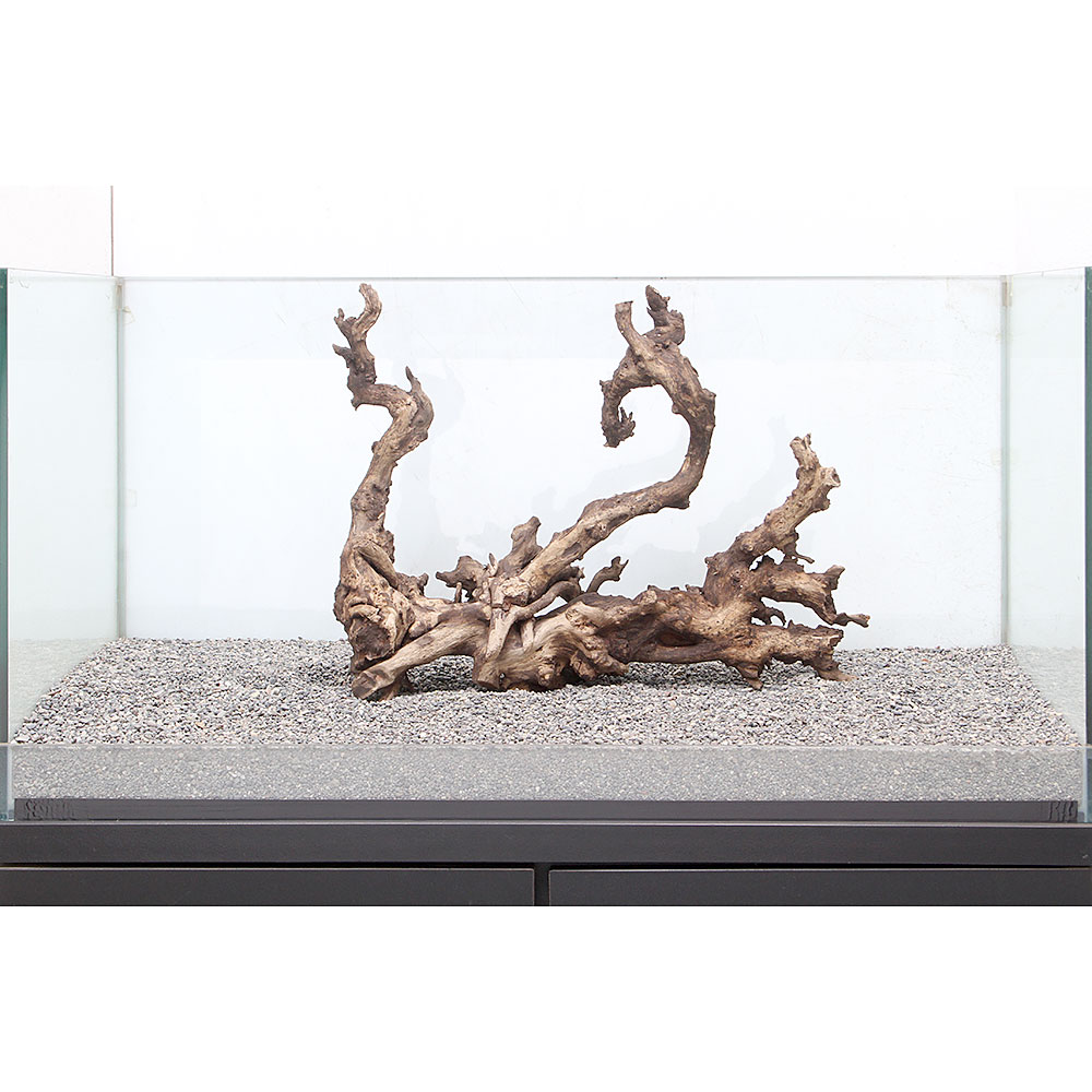一点物 サンゴウッド 大型水槽用 流木 ８９５３９６ 沖縄別途送料 関東当日便 Charm 店