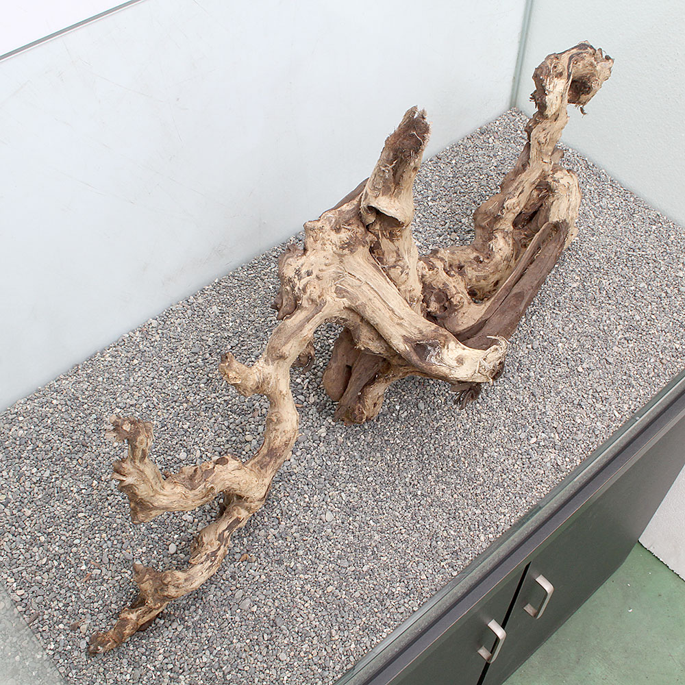 再再販 楽天市場 一点物 サンゴウッド 大型水槽用 ８９５４１９ 沖縄別途送料 関東当日便 Charm 楽天市場店 正規品 Www Lexusoman Com