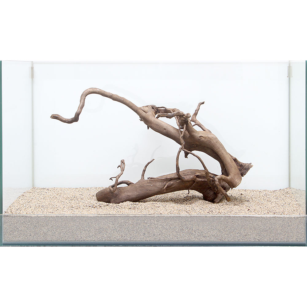 楽天市場 一点物 ルーツウッド 単体 ６０ｃｍ水槽用 ８９５５１１ 関東当日便 Charm 楽天市場店