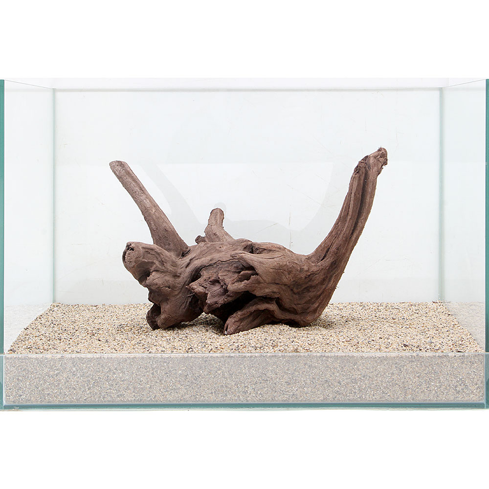 楽天市場 一点物 上質流木 雅 ４５ｃｍ水槽用 ８９５６２６ 関東当日便 Charm 楽天市場店