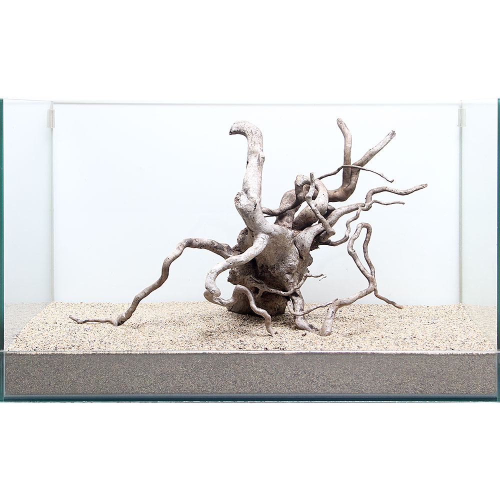 一点物 ルーツウッド 単体 水槽用 関東当日便 水槽の中に上質な空間が広がります 60c Painandsleepcenter Com