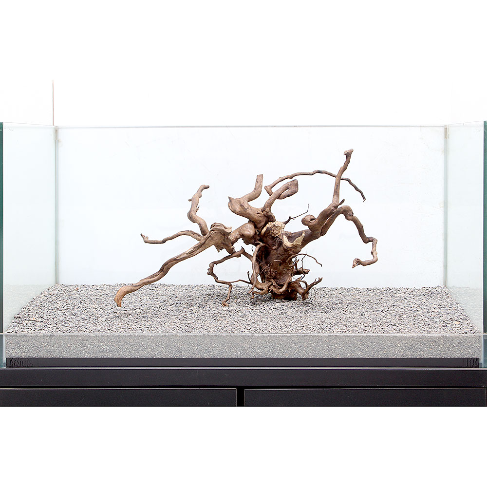 一点物 ルーツウッド 単体 大型水槽用 沖縄別途送料 関東当日便 Umu Ac Ug