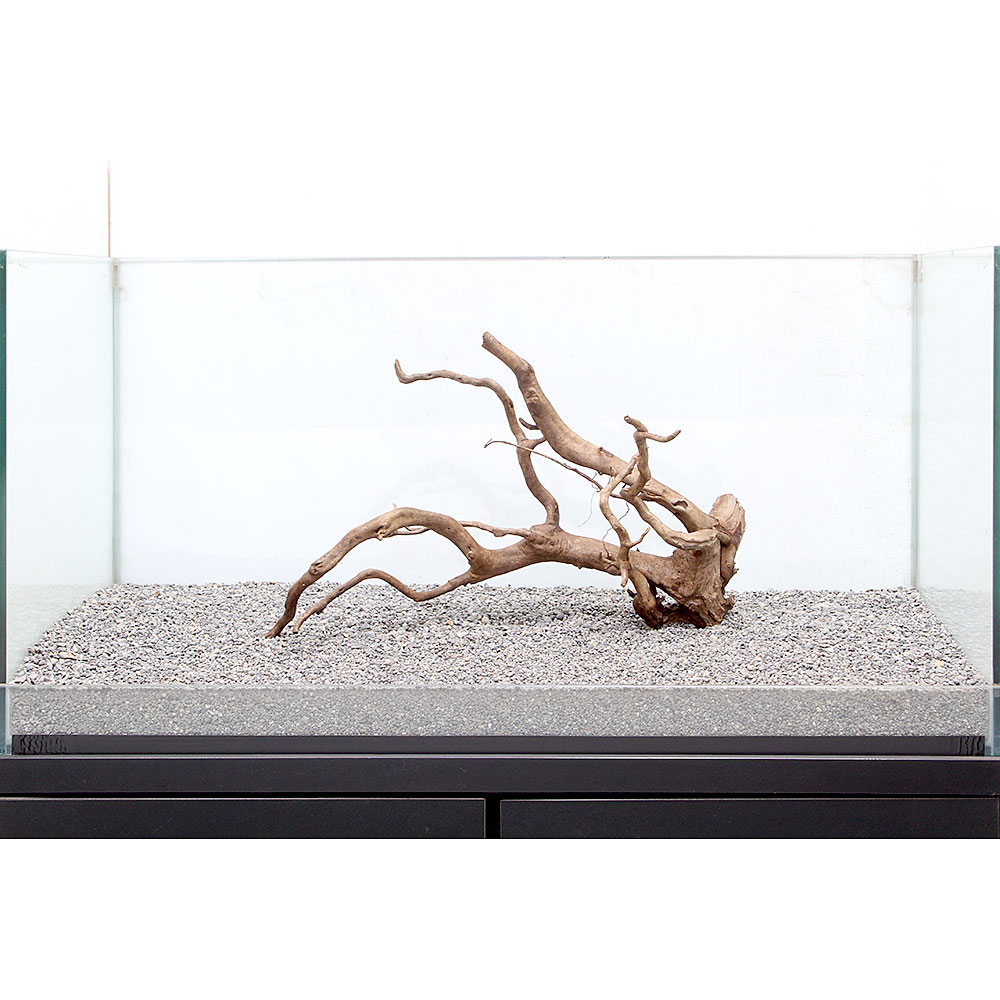 一点物 ルーツウッド 単体 大型水槽用 沖縄別途送料 関東当日便 オリジナルの水槽レイアウトをお楽しみくだ Painandsleepcenter Com