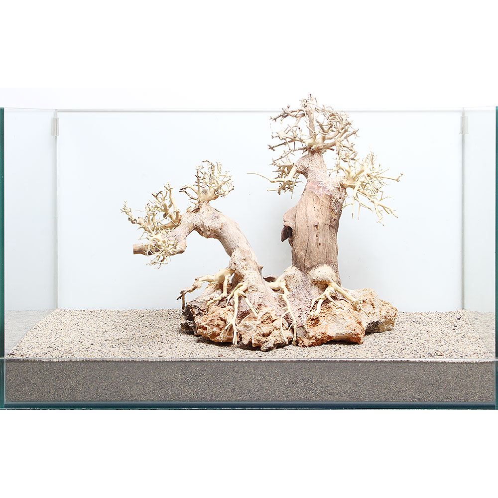 値引 一点物 流木 砂利 レイアウト用品 ８９６３０６ 関東当日便 Charm 熱帯魚 アクアリウム 店 ８９６３０６ ノーマルタイプ 沖縄別途送料 盆栽流木 流木