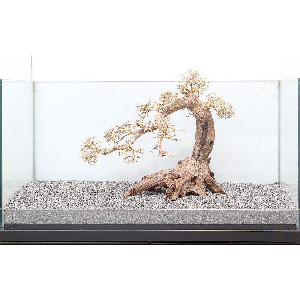 関東当日便 Charm 大型水槽用 ８９６３８７ 一点物 水槽 アクアリウム内装 沖縄別途送料 大型水槽用 盆栽流木 店 盆栽流木 流木