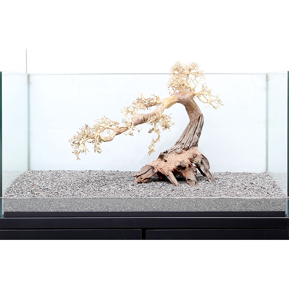 メーカー直販超安い 沖縄別途送料 ８９６３９７ 流木 砂利 レイアウト用品 大型水槽用 一点物 店 沖縄別途送料 盆栽流木 一点物 関東当日便 Charm 流木