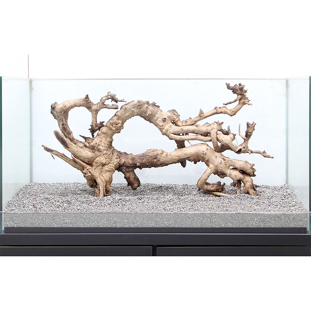 流木店 一点物 サンゴウッド 大型水槽用 ８９６４２３ 沖縄別途送料 関東当日便 Charm